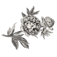 Flores separador Nombre1