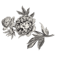 Flores separador Nombre2