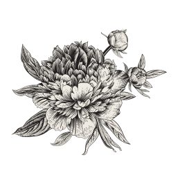 Flores separador Nombre5